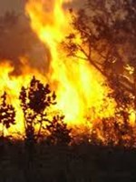 Immagine Prevenzione incendi e tutela del territorio comunale. Stagione estiva 2025.