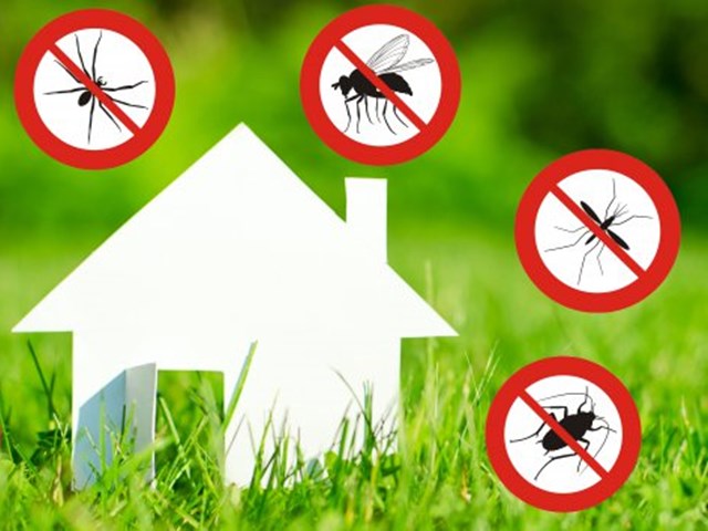 Interventi di Disinfezione e Disinfestazione Immagine novità in apertura